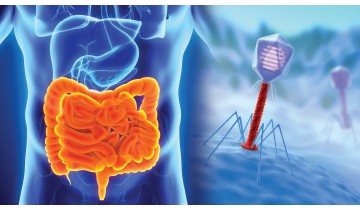 Major Advance in Intestinal Health